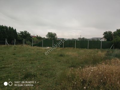 Arsa-Tarla
