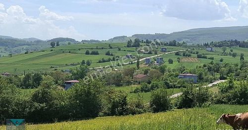 Arsa-Tarla