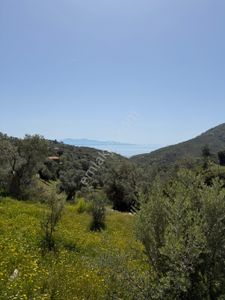 Arsa-Villa İmarlı
