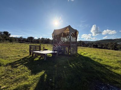 Arsa-Tarla