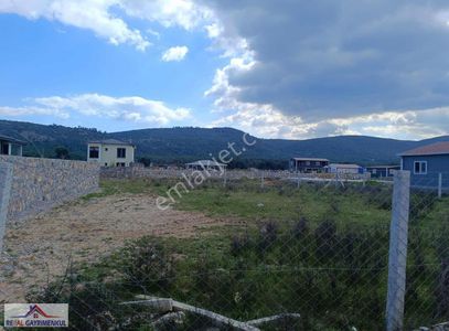 Arsa-Muhtelif Arsa