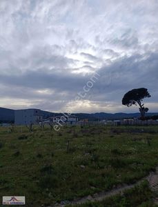Arsa-Tarla