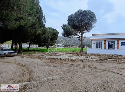 Arsa-Tarla