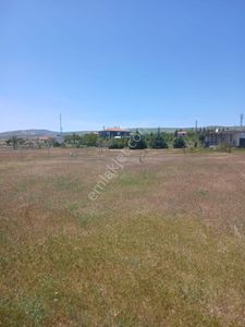 Arsa-Tarla