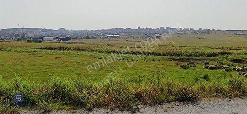 Arsa-Tarla