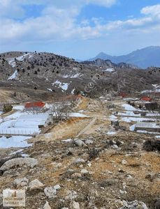 Arsa-Konut İmarlı