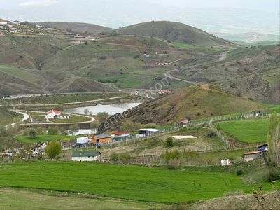 Arsa-Bağ & Bahçe