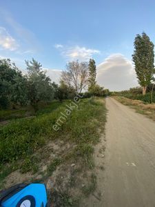Arsa-Bağ & Bahçe