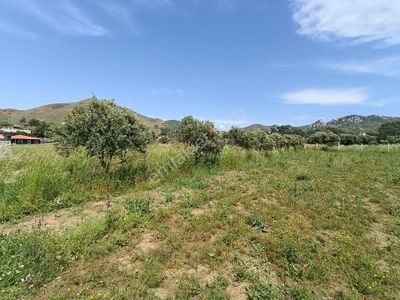 Arsa-Tarla