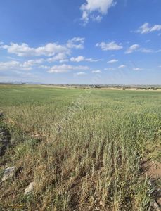Arsa-Tarla