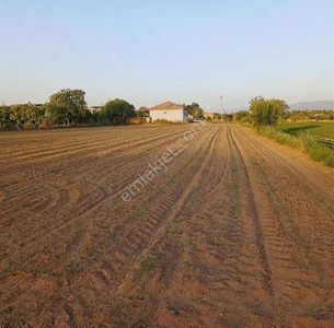 Arsa-Villa İmarlı