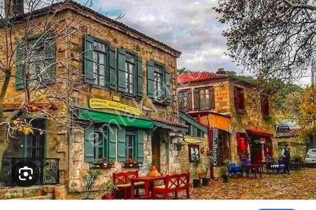 Arsa-Zeytinlik
