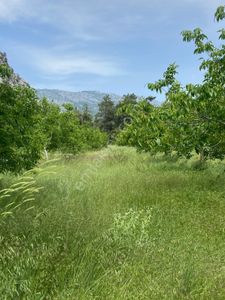 Arsa-Tarla