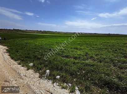 Arsa-Bağ & Bahçe