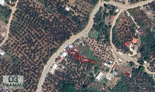 Arsa-Zeytinlik
