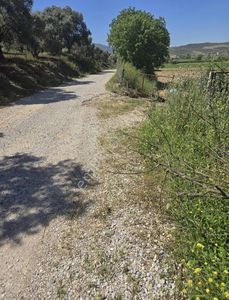 Arsa-Tarla