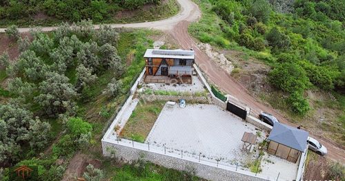Arsa-Zeytinlik