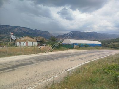 Arsa-Bağ & Bahçe