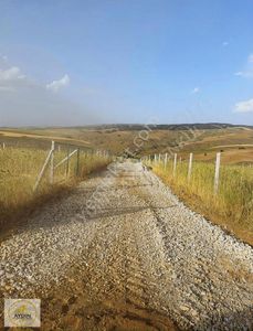 Arsa-Tarla