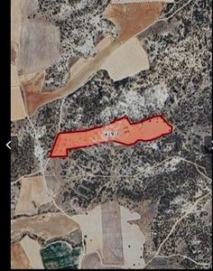 Arsa-Tarla