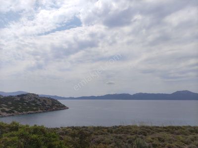 Arsa-Tarla