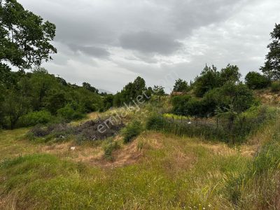Arsa-Bağ & Bahçe