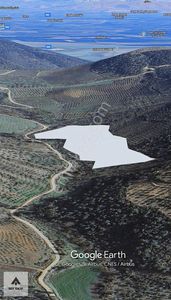 Arsa-Tarla