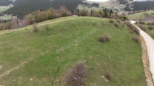 Arsa-Tarla
