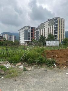 Konut-Daire