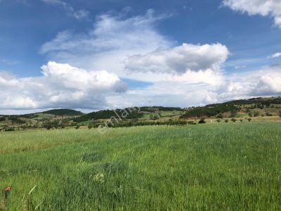 Arsa-Tarla