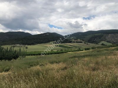 Arsa-Villa İmarlı