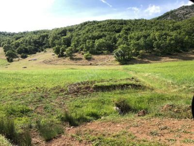 Arsa-Tarla