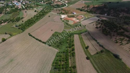 Arsa-Tarla