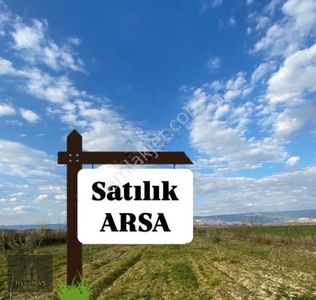 Arsa-Tarla