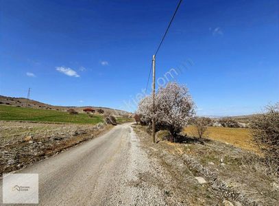 Arsa-Tarla