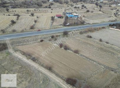 Arsa-Tarla