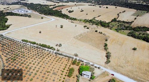 Arsa-Villa İmarlı