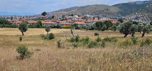 Arsa-Tarla