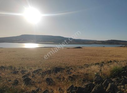 Arsa-Tarla