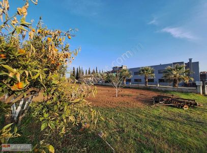 Arsa-Villa İmarlı