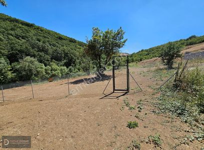 Arsa-Tarla