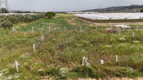 Arsa-Bağ & Bahçe