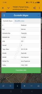 Arsa-Zeytinlik