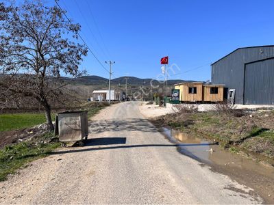 Arsa-Tarla