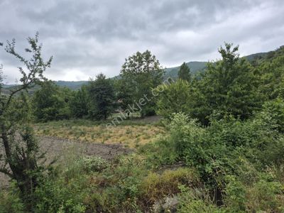 Arsa-Tarla