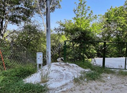 Arsa-Bağ & Bahçe