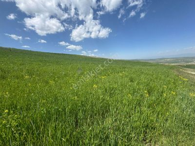 Arsa-Tarla