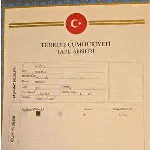 Arsa-Bağ & Bahçe