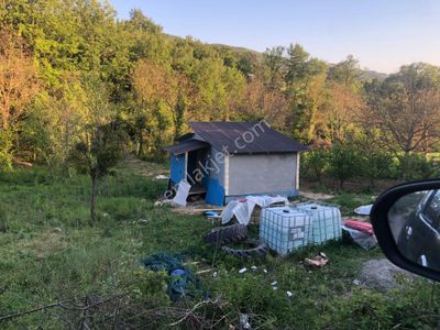 Konut-Müstakil Ev