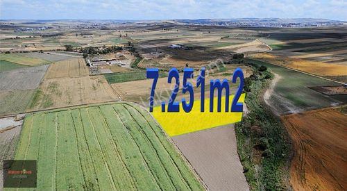 Arsa-Tarla